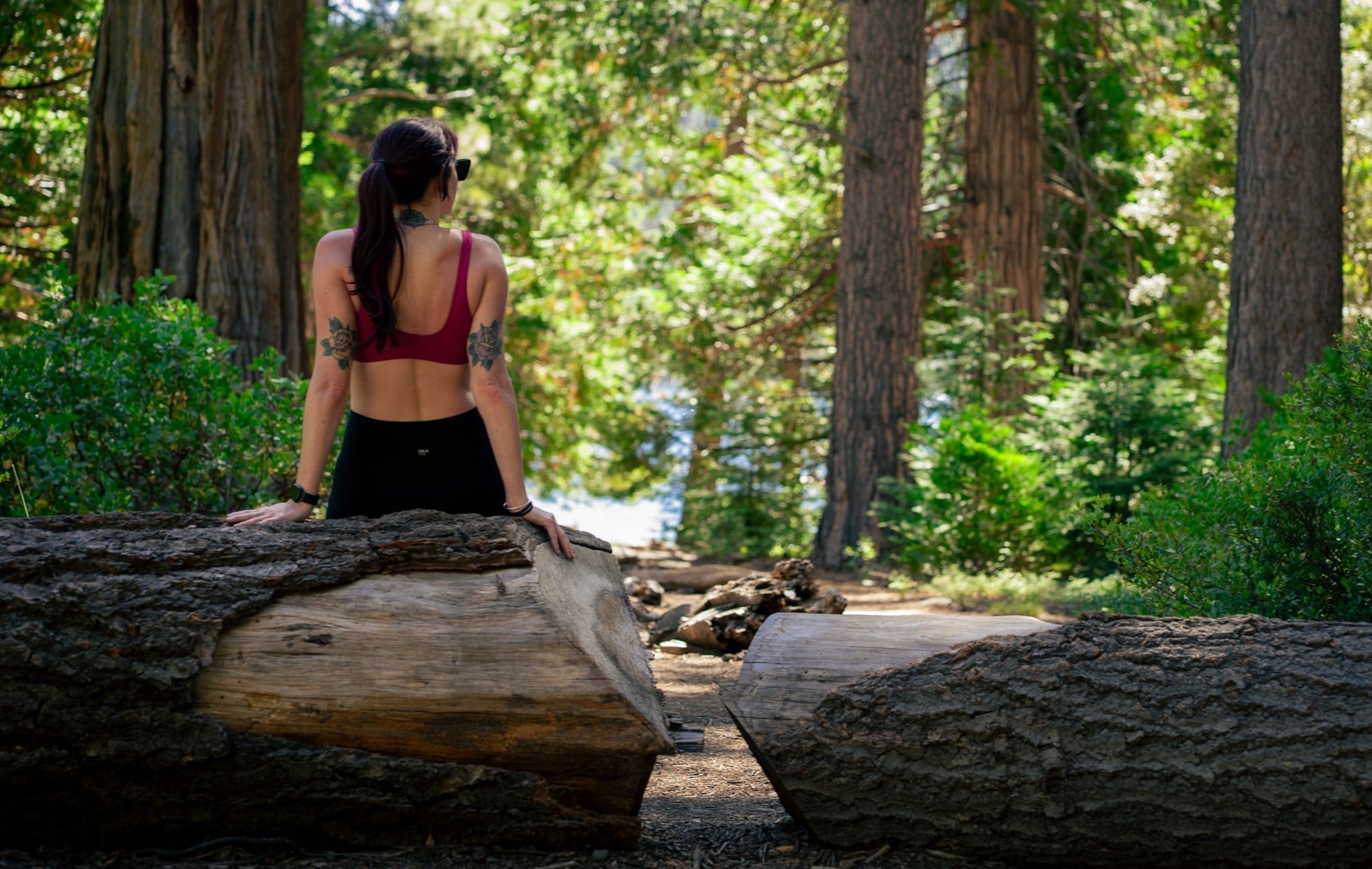 Woman sitting on a log in a forest with a scenic view of trees and water